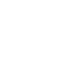 logo-instagram-blanc